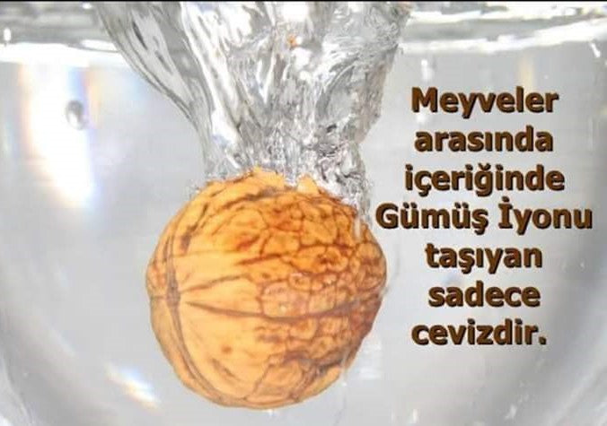 Ceviz ve Gümüş İyonu