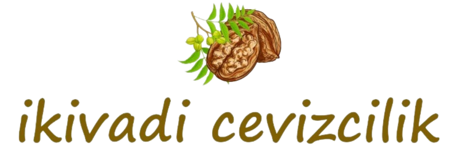 ikivadi.com
